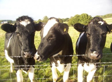 Ireland's greenhouse gas emissions have fallen - and scientists discover cow methane is not the worst culprit in agriculture