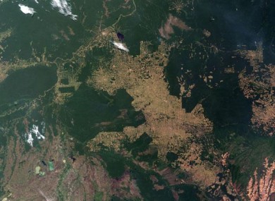 Brazil's Rondonia rainforest, 2008