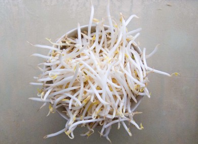 The E. coli outbreak has been linked once more to bean sprouts like these.