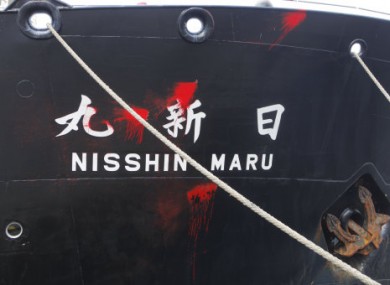 Smudges of red paint hurled by anti-whaling activists are seen on the bow of Japan's whaling ship Nisshin Maru moored at a port in Tokyo, Friday, March 25, 2011.