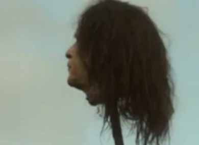 A screen grab of the offending shot
