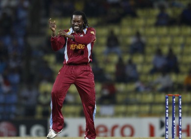 Chris Gayle celebrates taking a wicket in the T20 World Cup.
