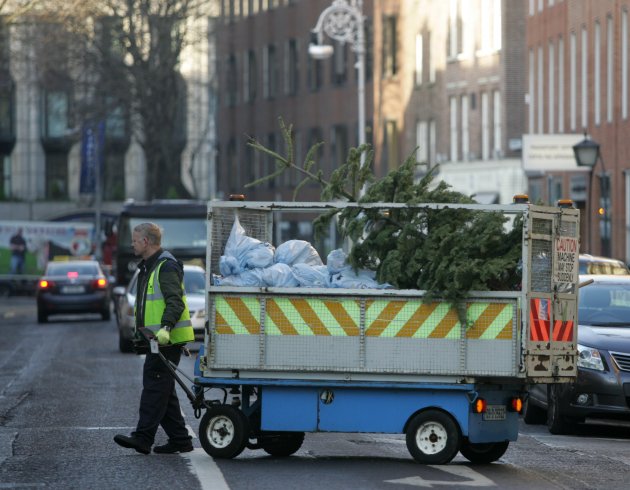 sad christmas tree pic of the day 183 thejournal ie sad christmas tree pic of the day 183 thejournal ie