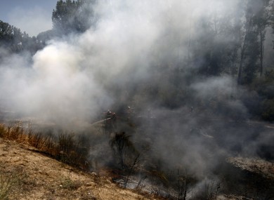 Forest fire in Spain this August.