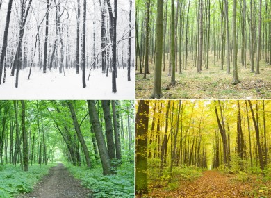 Four seasons