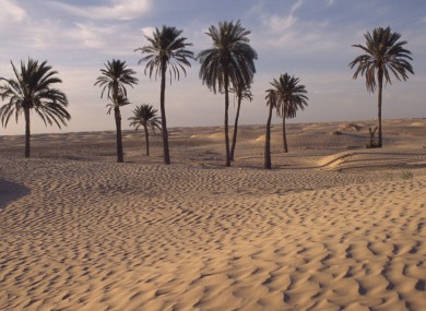 Desert