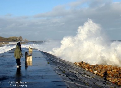Howth, Co Dublin on 6 January