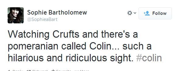 colin the pomeranian colin the pomeranian was robbed at crufts and here s why colin the pomeranian colin the pomeranian was robbed at crufts and here s why