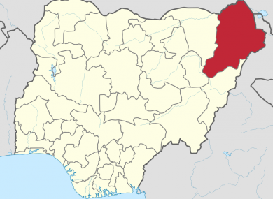 The state of Borno where the attack occurred.