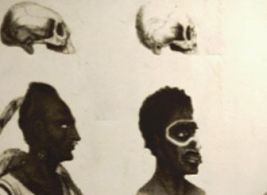 19th Century illustration of racial differences