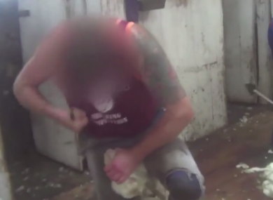 A still from the PETA video.