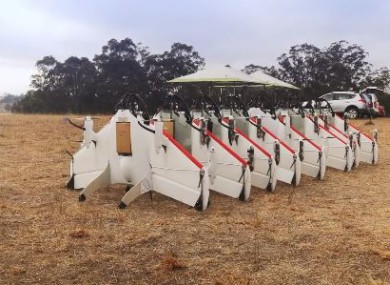 The autonomous drones lined up and ready for take-off.