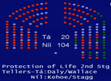The Dáil voted down Clare Daly's bill by 104 votes to 20 earlier this month.