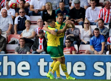Hoolahan celebrates setting up Norwich's second goal.