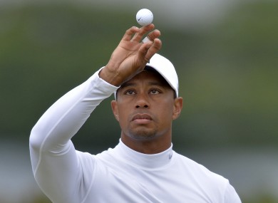 Tiger: