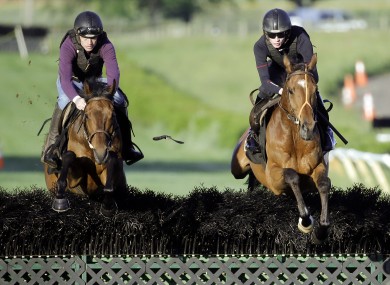 Nichols Canyon, left, and Shaneshill work on the Tennessee gallops this week.