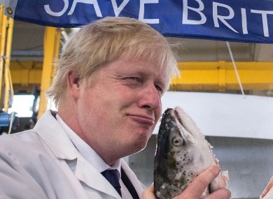 Prominent Leave campaigner and potential next UK prime minister Boris Johnson.