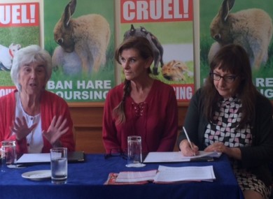 Maureen O'Sullivan TD, Linda Martin and Pauline McLynn.