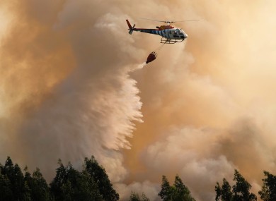 File photo of forest fire in Portugal last month.