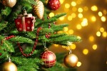 Poll: When's the right time to put up your Christmas tree?