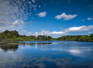 The Vartry river in Wicklow feeds into the plant that provides drinking water to the area.
