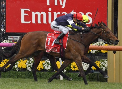 Almandin, front, with jockey Kerrin McEvoy aboard, wins the Melbourne Cup, denying Tony Martin's Heartbreak City last November.