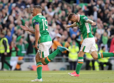 Ireland's Jon Walters celebrates his goal.