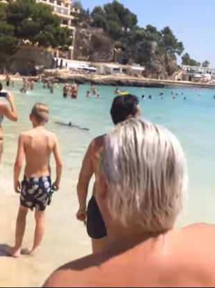 Screengrab from holidaymaker's Youtube capturing of the shark.