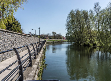 The River Dodder in Dublin. (File photo)