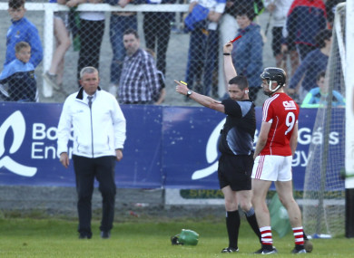 Fitzgibbon has been hugely impressive for the Cork senior side this year.