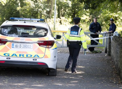 Gardai at the crime scene in Coolmine Woods in Dublin 15, where a woman's body was discovered this afternoon.