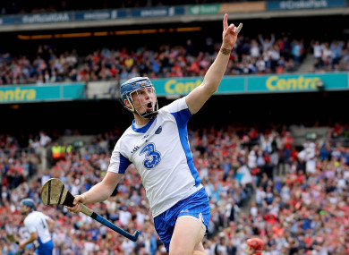 Austin Gleeson celebrates his brilliant solo effort.