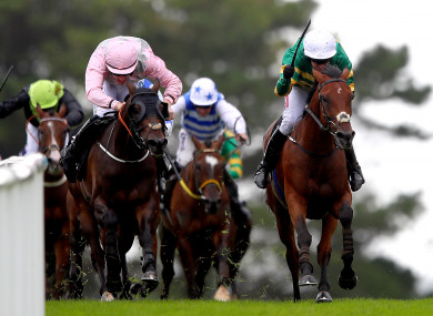 Geraghty and Tigris River, right, came late to beat Swamp Fox, left.