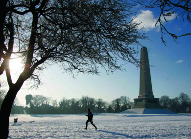 Dublin's Phoenix Park under a blanket of snow in 2010.