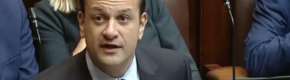 Poll: Should Leo Varadkar have worn the 'shamrock poppy' in the D&Atilde;&iexcl;il?