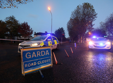 Two gardaí were also injured in the incident.