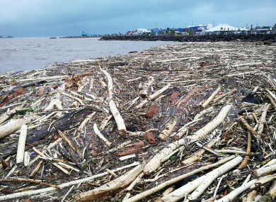 Photo shows wood floating on the water in Samoa after a cyclone blew through.