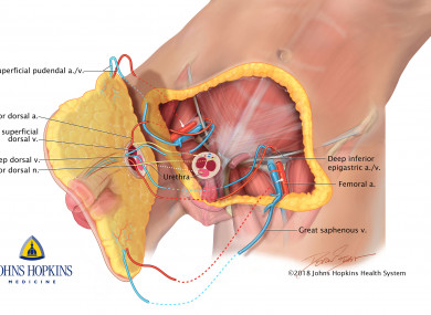 An image released by the hospital where the surgery was performed