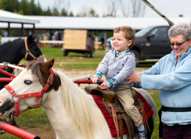 Time to giddy up and go.