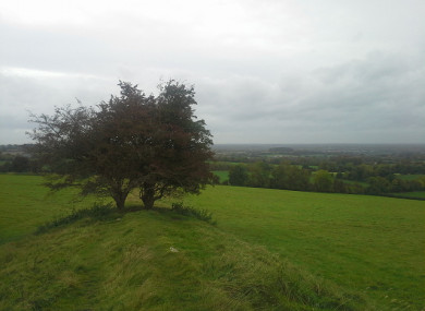 A fairy tree at Tara