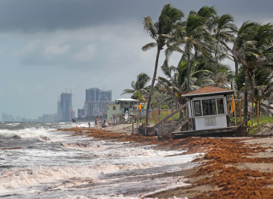 Dania Beach, Florida pictured yesterday.