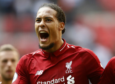 Virgil van Dijk (file pic).