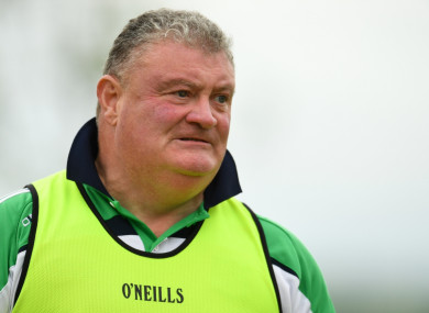 Limerick ladies football manager John Ryan.