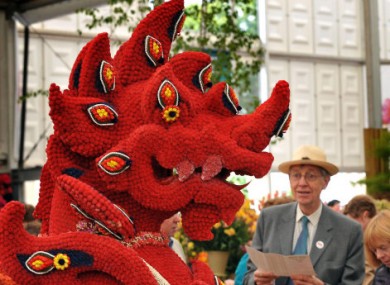 A Guardian Lion made from flowers impressing visitors to the Chelsea Flower Show in London today.