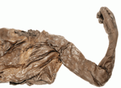 File image of Oldcroghan Man, a bog body on display at the National Museum which suffered the 'nipple damage' described by Kelly.