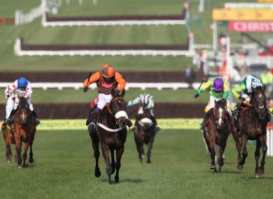Long Run (second from right) stays on up the hill to win last year's Cheltenham Gold Cup.