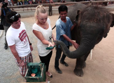 An elephant, Caroline Wozniacki, the elephant's handler and some bloke.