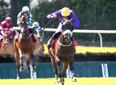Ruby Walsh on Train of Though on the way to victory.