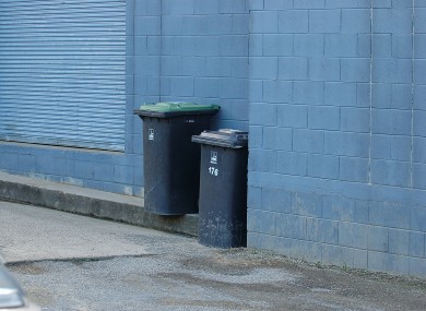 File image of a wheelie bin.