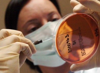 A scientists tests a sample from a dead bird.